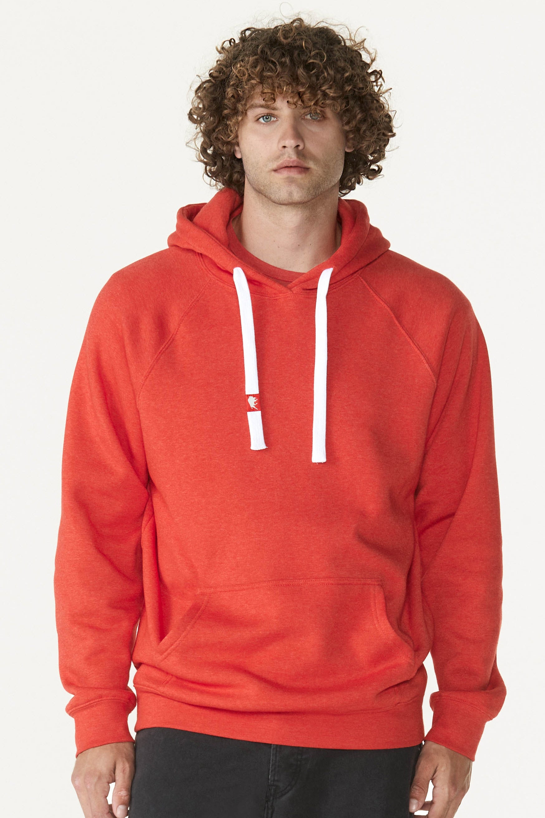 SPORTIQE MEN'S OLSEN HOODIE - Sportiqe Apparel